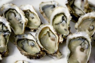 Oysters_20171004